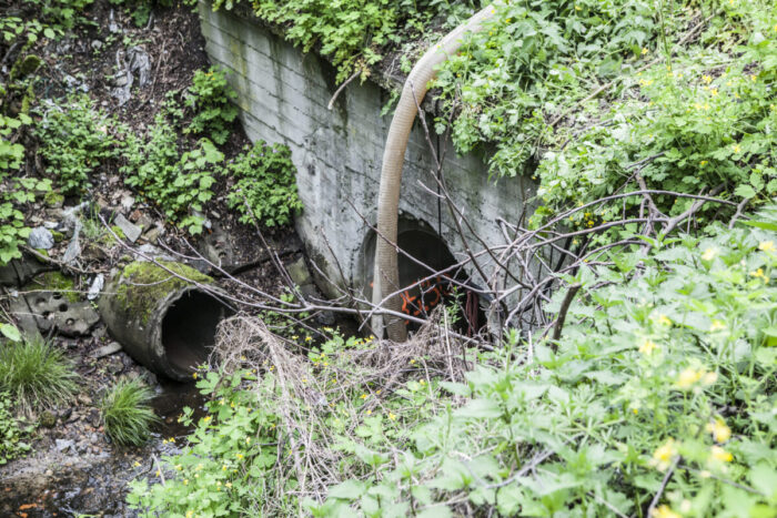 IMG_2642